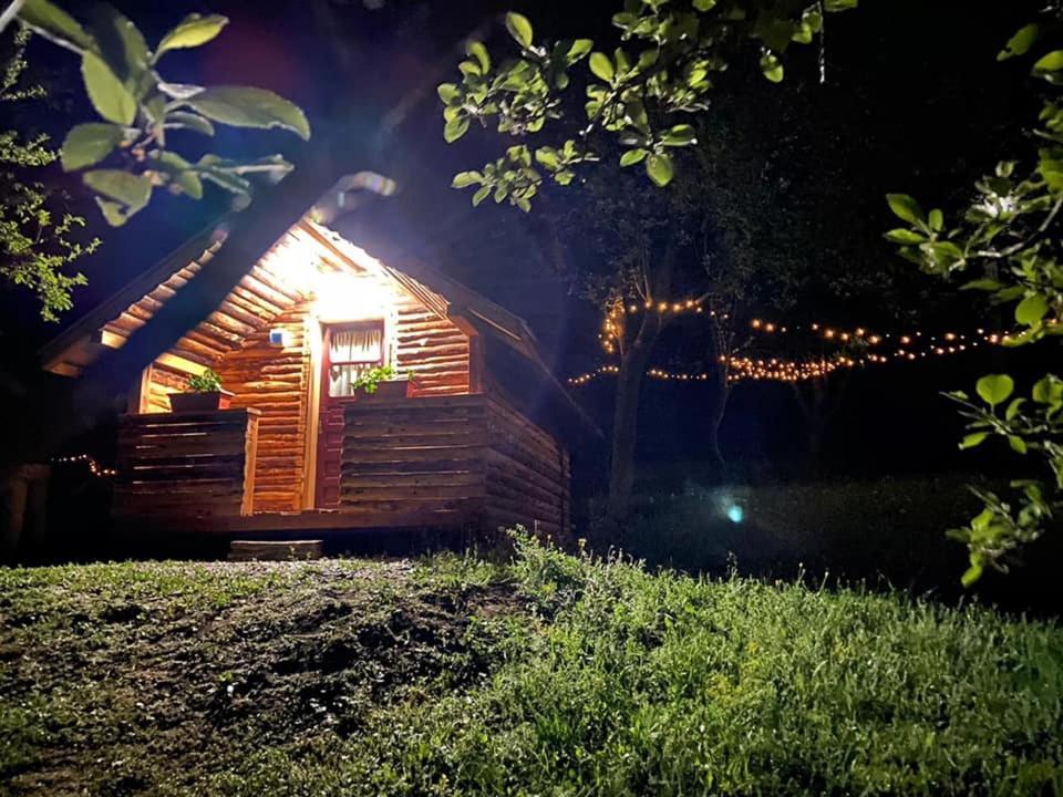 La 3 Stejari, Calimanesti Salatrucel Exterior foto