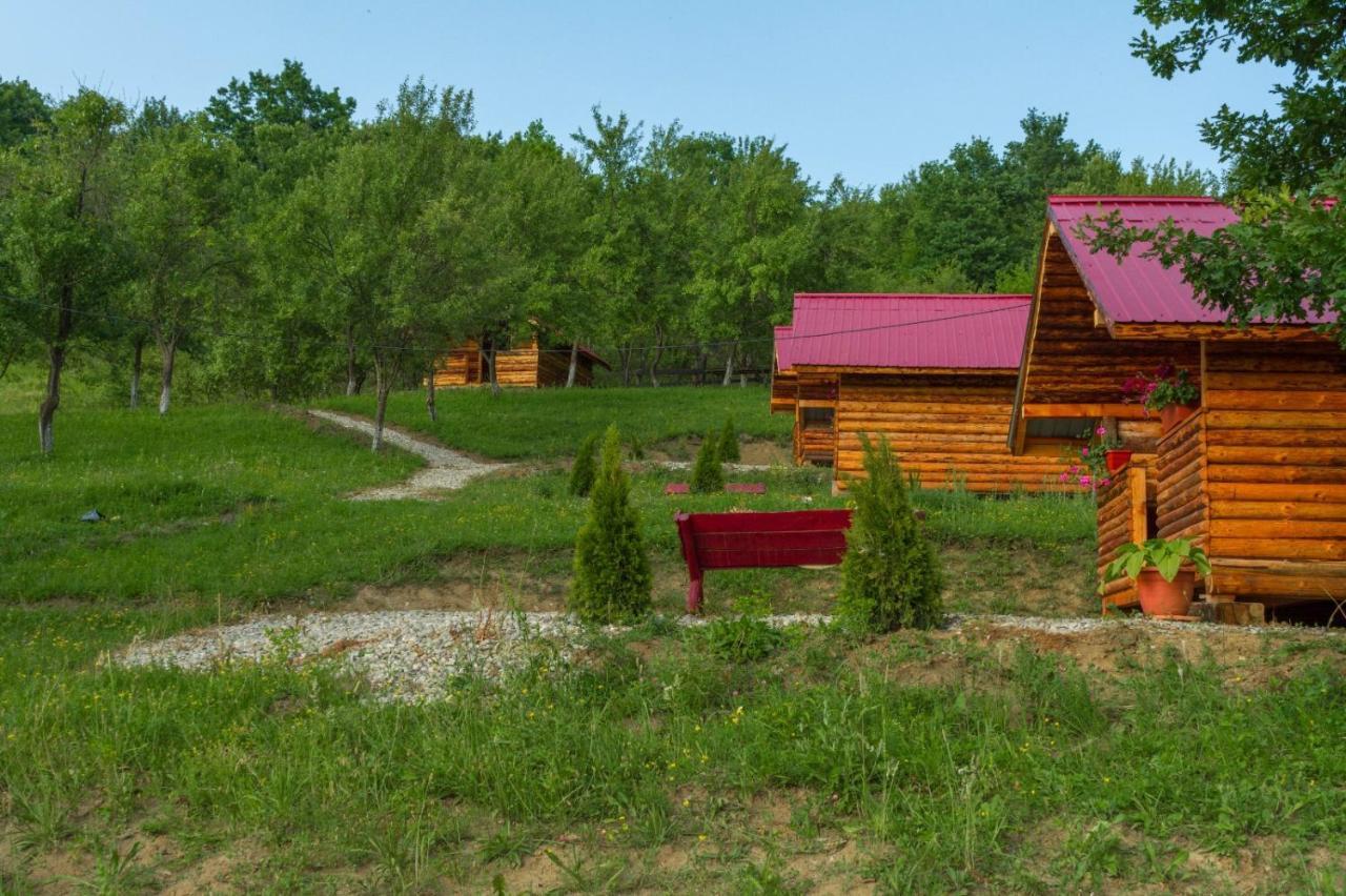 La 3 Stejari, Calimanesti Salatrucel Exterior foto