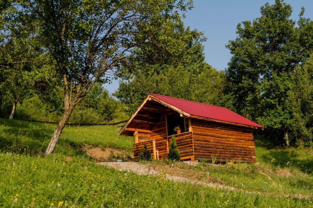 La 3 Stejari, Calimanesti Salatrucel Exterior foto