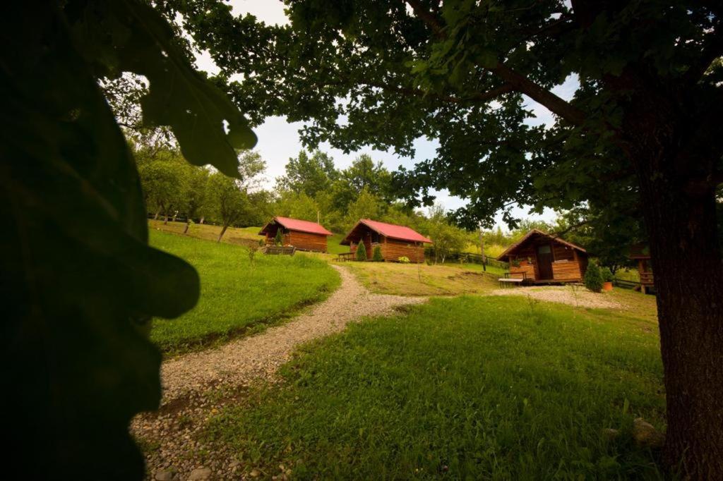 La 3 Stejari, Calimanesti Salatrucel Exterior foto