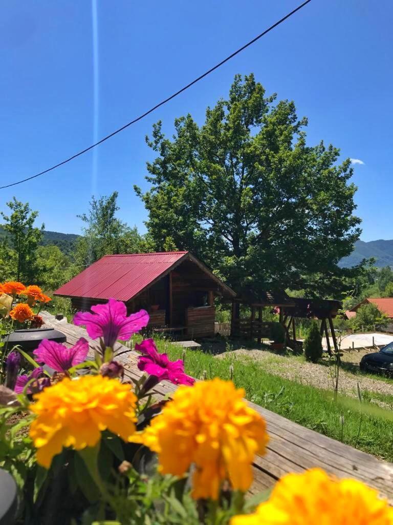 La 3 Stejari, Calimanesti Salatrucel Exterior foto