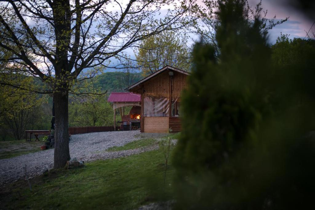 La 3 Stejari, Calimanesti Salatrucel Exterior foto