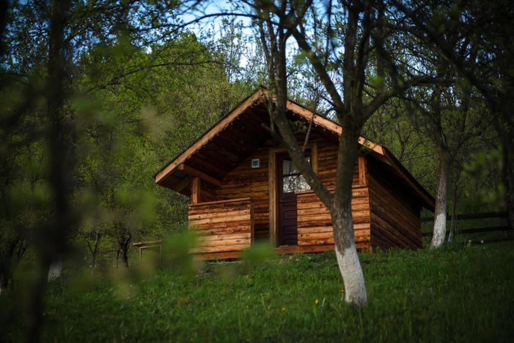 La 3 Stejari, Calimanesti Salatrucel Exterior foto