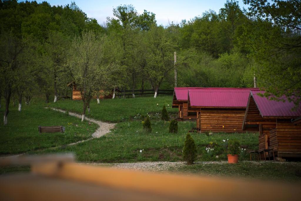 La 3 Stejari, Calimanesti Salatrucel Exterior foto