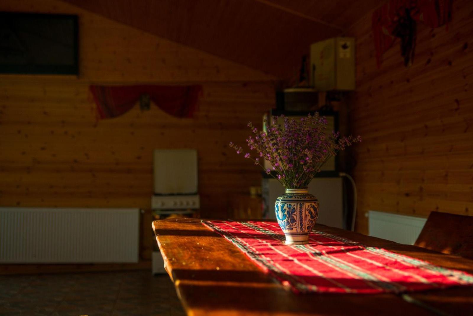 La 3 Stejari, Calimanesti Salatrucel Exterior foto