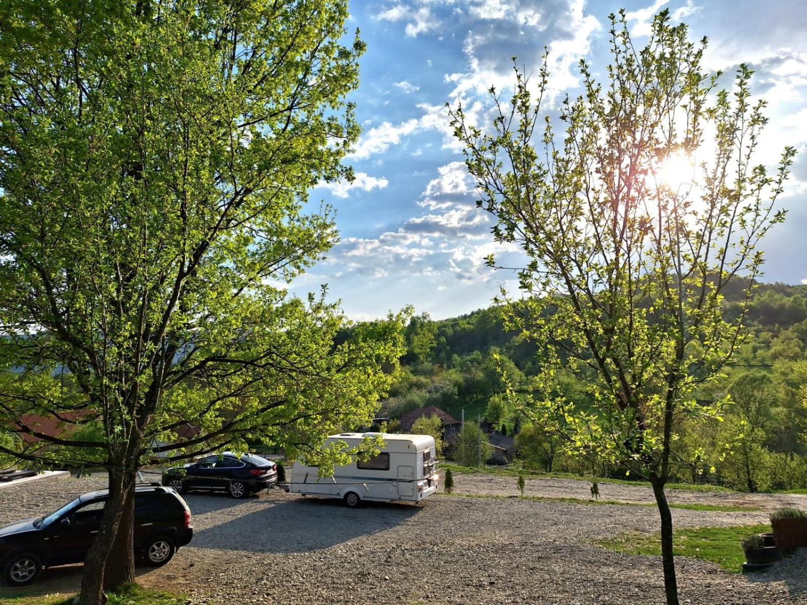 La 3 Stejari, Calimanesti Salatrucel Exterior foto